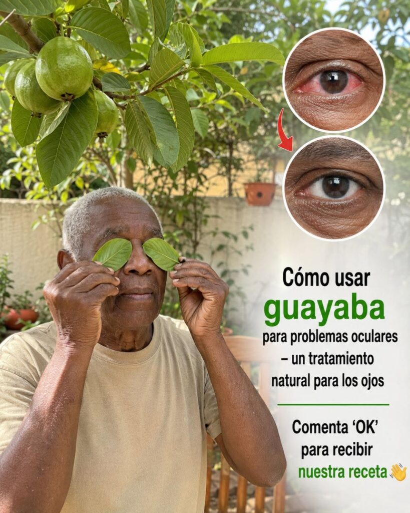 Guayaba: una fruta tropical rica en nutrientes que puede formar parte de una alimentación saludable