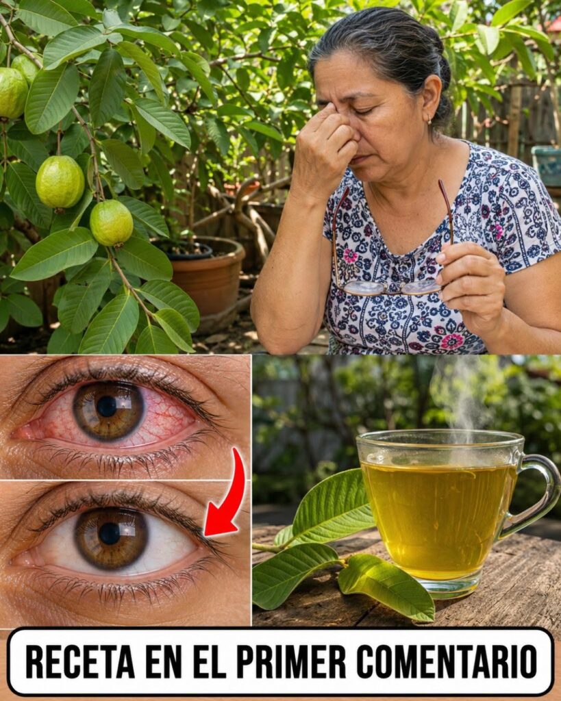 Cómo usar la guayaba para cuidar tus ojos: beneficios, remedios naturales y recomendaciones para una buena salud visual