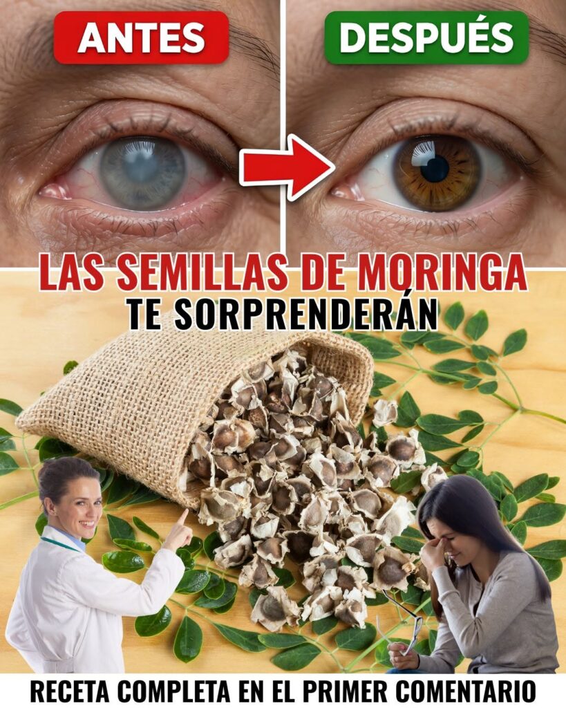 Moringa: valor nutricional, salud visual y bienestar general
